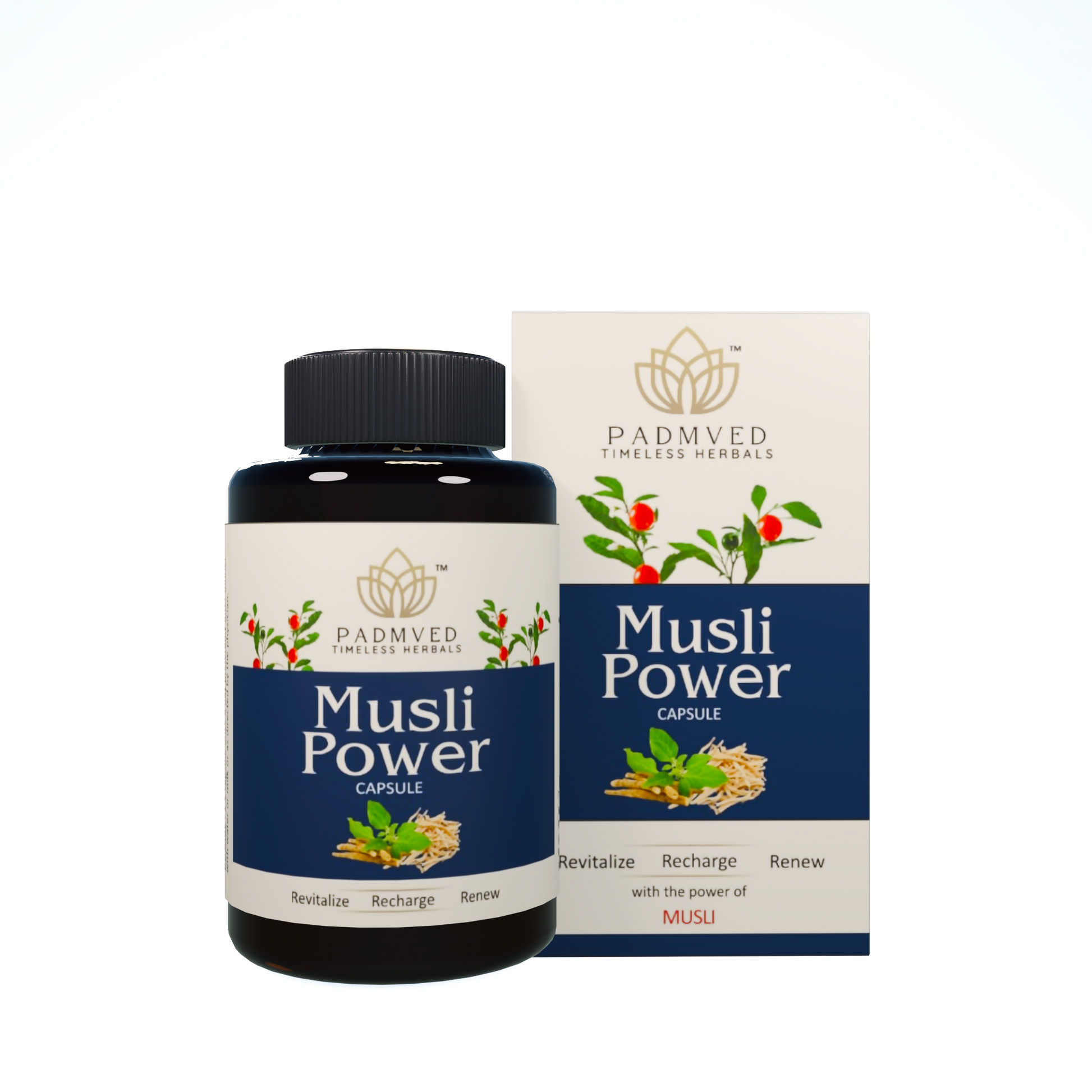 https://cdn.shopify.com/s/files/1/1857/6931/files/3C83OknkGE.png?v=1740033470