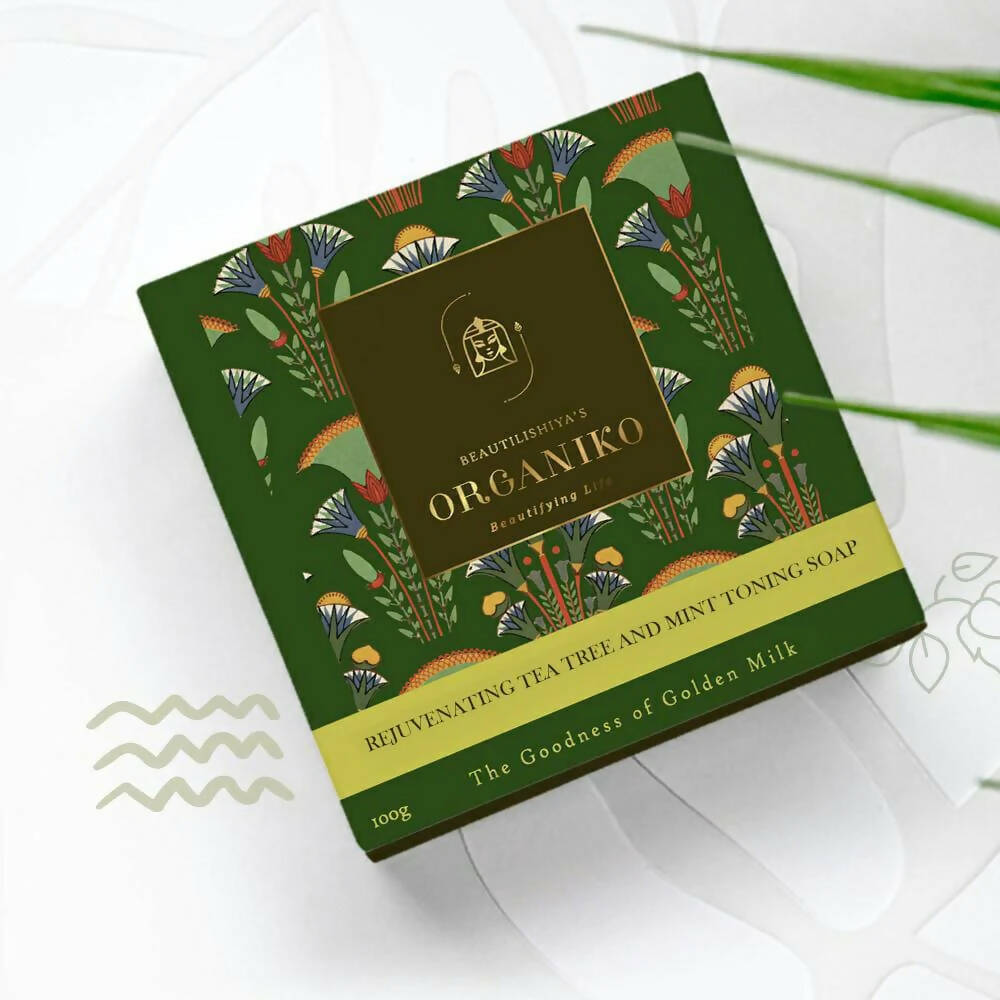 https://cdn.shopify.com/s/files/1/1857/6931/products/3Cr3cm1iVd.jpg?v=1680848824