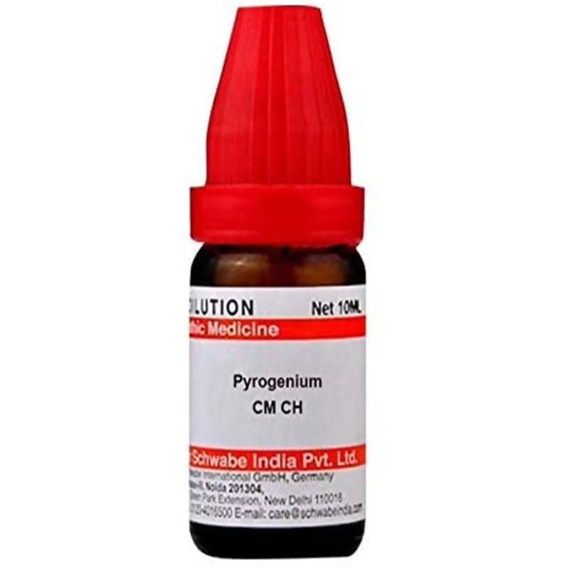 https://cdn.shopify.com/s/files/1/1857/6931/products/3CxR2obuCk.jpg?v=1631241257