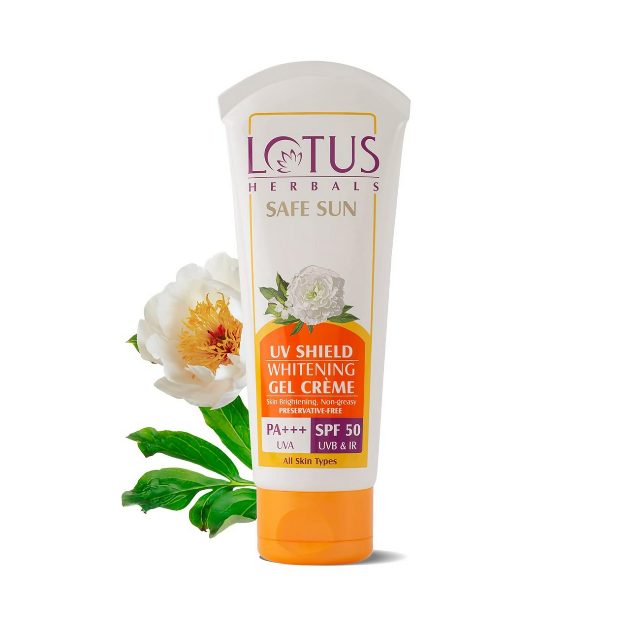 https://cdn.shopify.com/s/files/1/1857/6931/files/3EJKSOS49f.png?v=1720516327