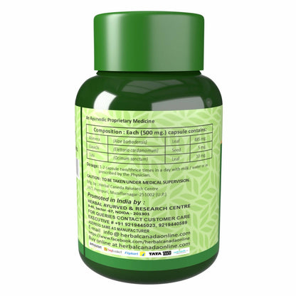 https://cdn.shopify.com/s/files/1/1857/6931/products/3GSFGY2KvG.jpg?v=1702465895