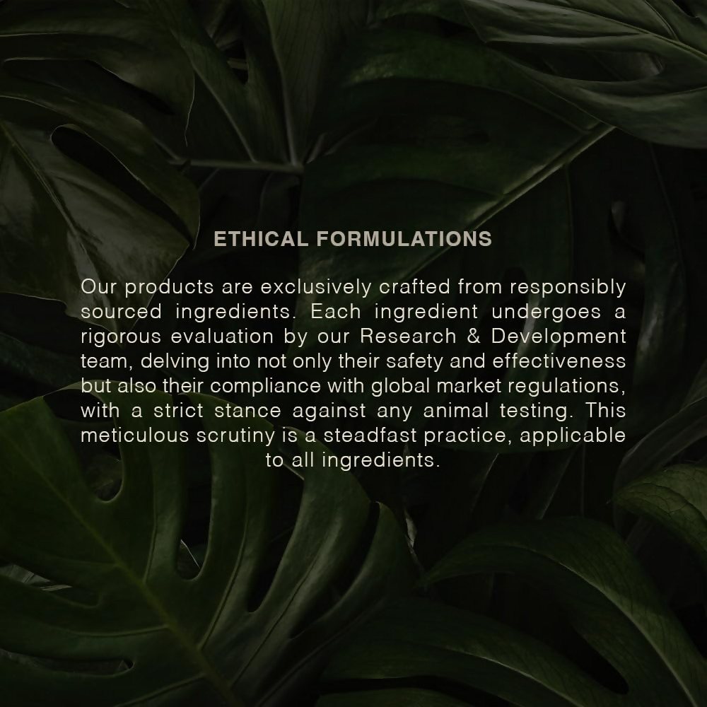 https://cdn.shopify.com/s/files/1/1857/6931/files/3GkepHjdPE.png?v=1768196472