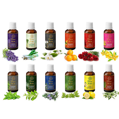 https://cdn.shopify.com/s/files/1/1857/6931/products/3H4AVd36Ol.jpg?v=1655288372