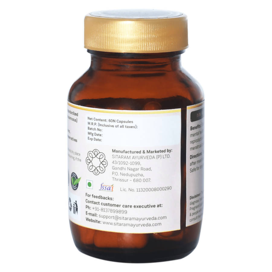 https://cdn.shopify.com/s/files/1/1857/6931/products/3JE0lHe8Fm.jpg?v=1640777148