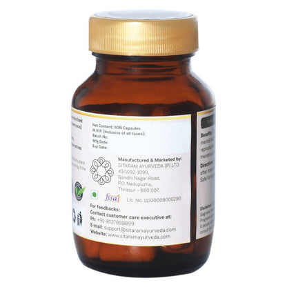 https://cdn.shopify.com/s/files/1/1857/6931/products/3JE0lHe8Fm.jpg?v=1640777148