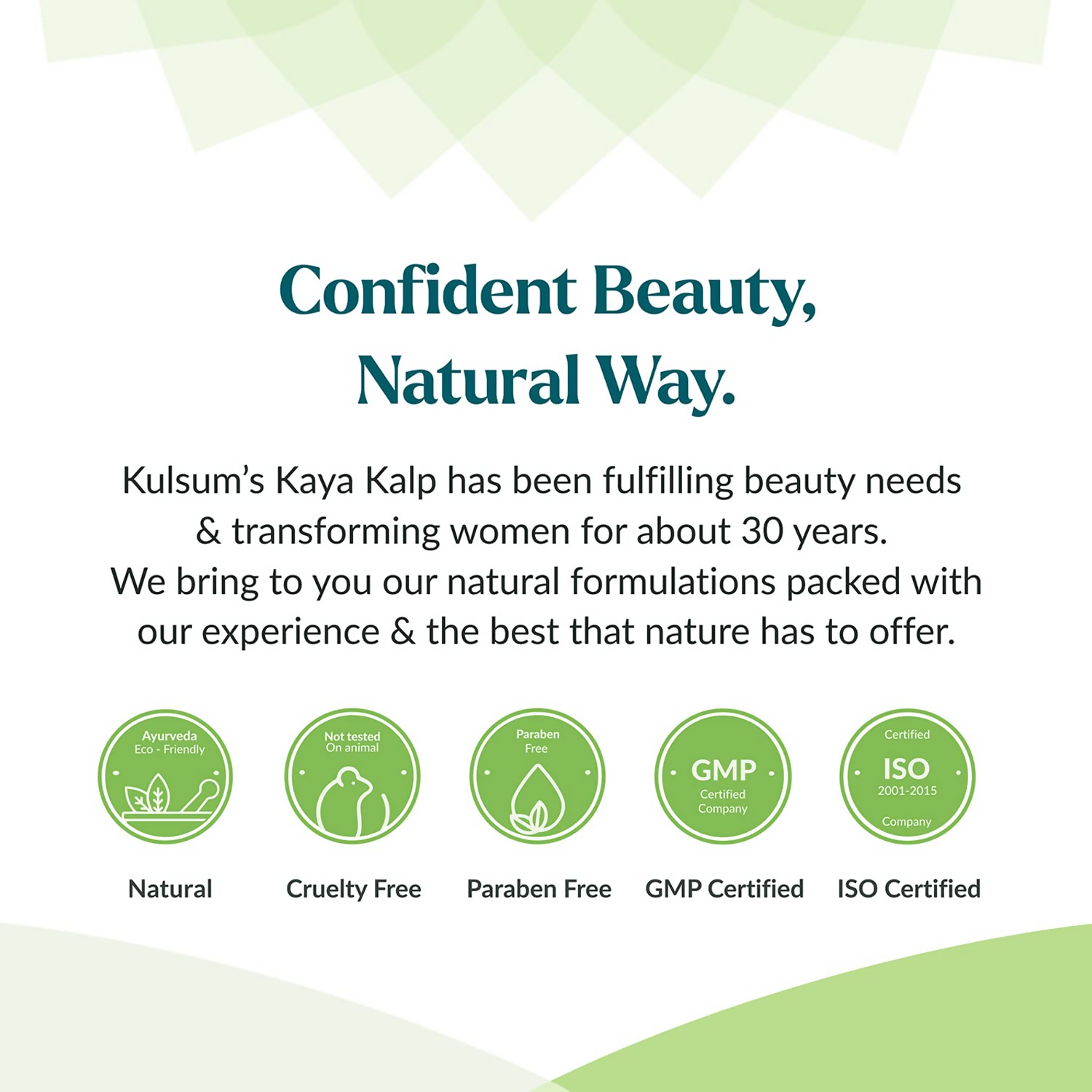 https://cdn.shopify.com/s/files/1/1857/6931/files/3NO1ij00EO.png?v=1727418236