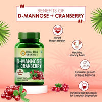 https://cdn.shopify.com/s/files/1/1857/6931/products/3PV3TgbRXJ.jpg?v=1663912908