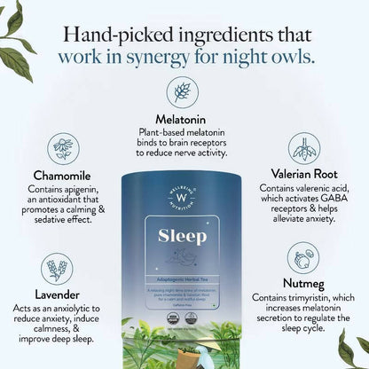 https://cdn.shopify.com/s/files/1/1857/6931/products/3PvDgxKiXN.jpg?v=1704537328