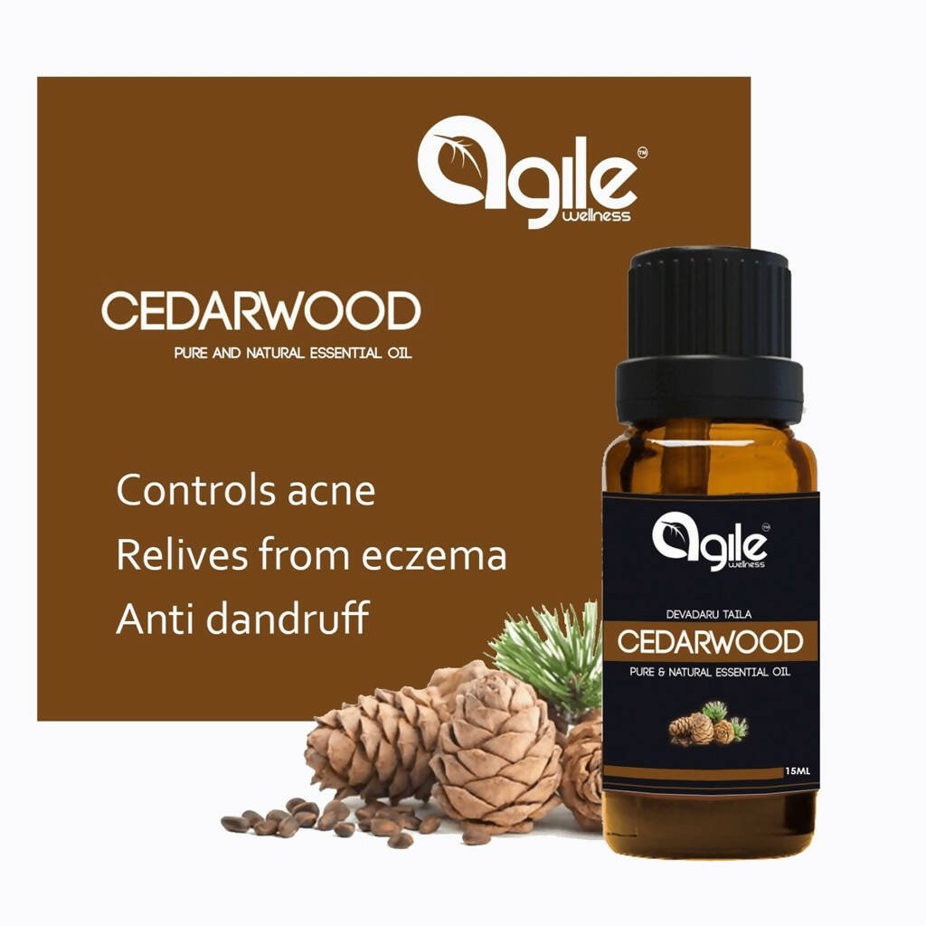 https://cdn.shopify.com/s/files/1/1857/6931/files/3R1uIBRyPN-770220.jpg?v=1736144036