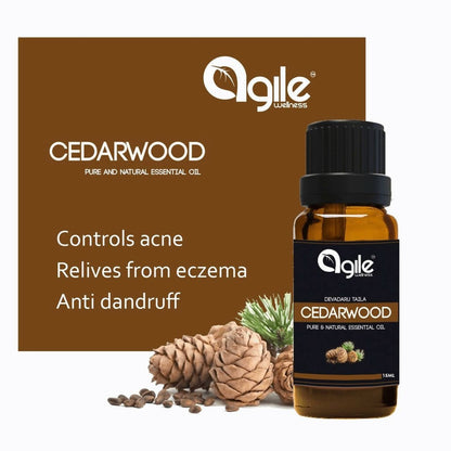 https://cdn.shopify.com/s/files/1/1857/6931/files/3R1uIBRyPN-770220.jpg?v=1736144036
