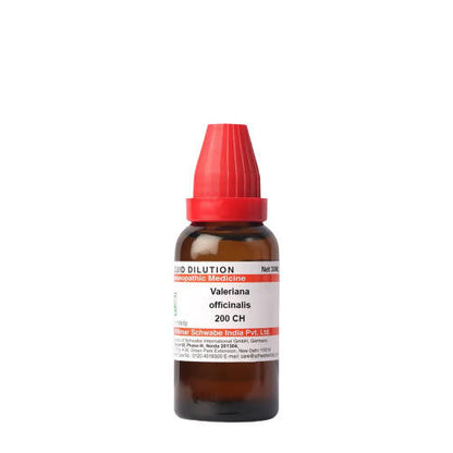 https://cdn.shopify.com/s/files/1/1857/6931/products/3RKSqPJjUd.jpg?v=1640857653