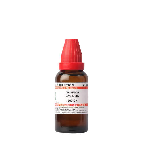 https://cdn.shopify.com/s/files/1/1857/6931/products/3RKSqPJjUd.jpg?v=1640857653