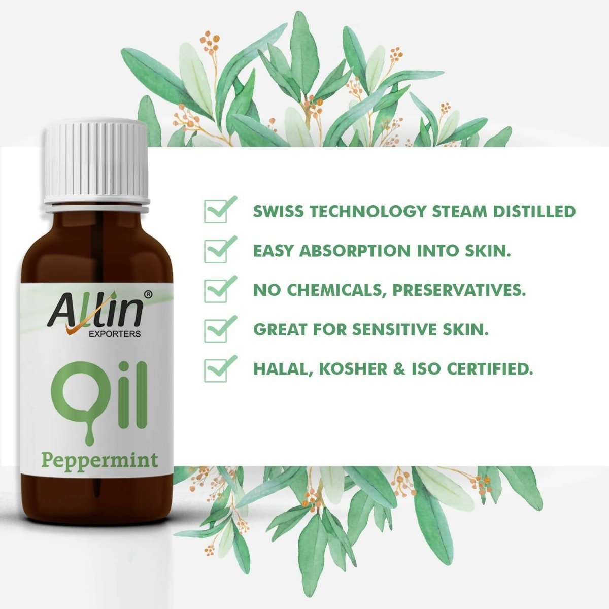 https://cdn.shopify.com/s/files/1/1857/6931/files/3S4sGq1pGy-911167.jpg?v=1736146562