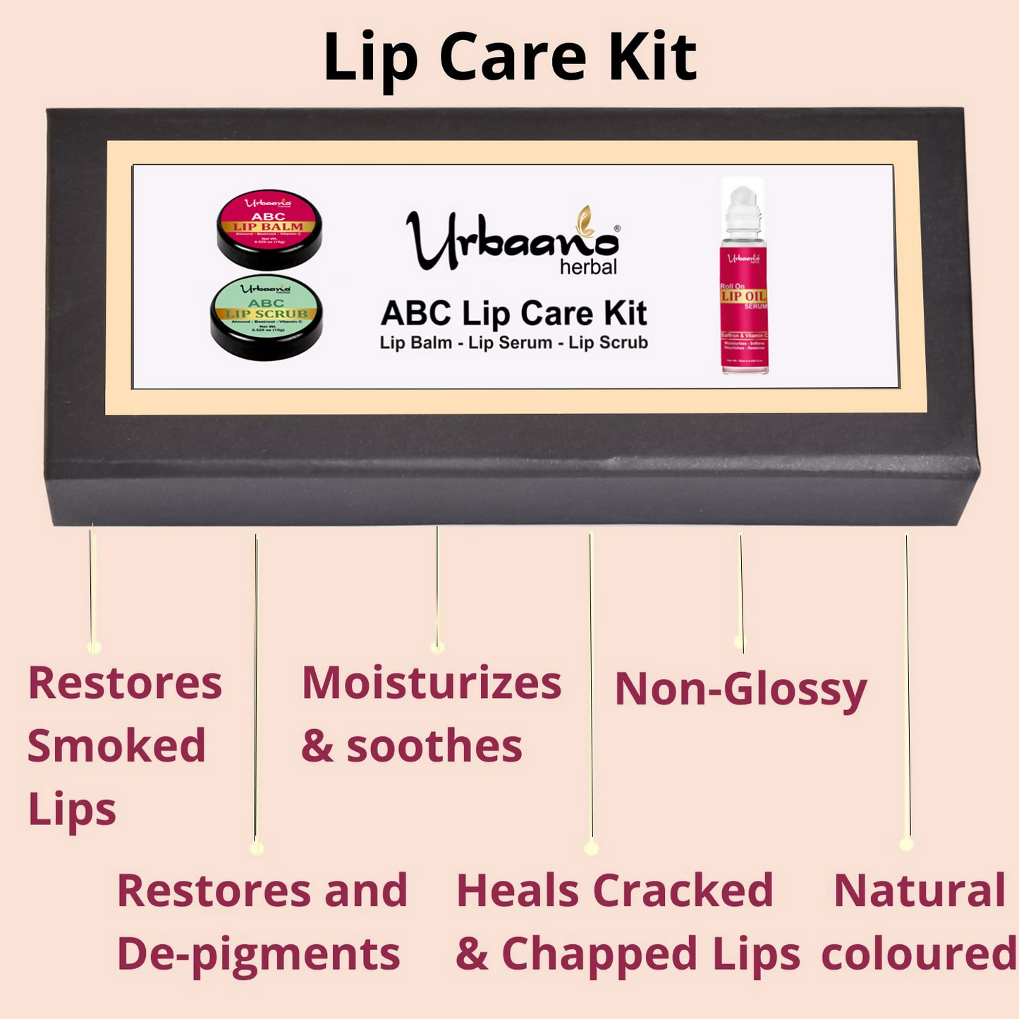 https://cdn.shopify.com/s/files/1/1857/6931/files/3TRw0E37LE.png?v=1746506363