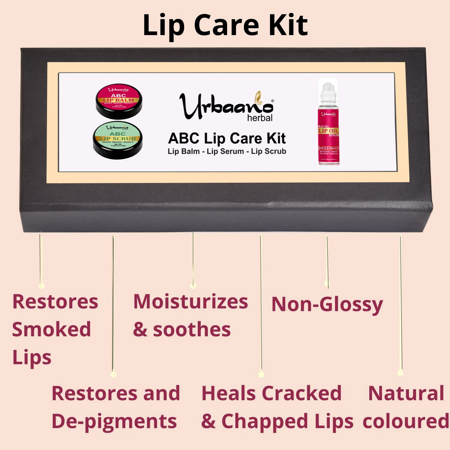 https://cdn.shopify.com/s/files/1/1857/6931/files/3TRw0E37LE.png?v=1746506363