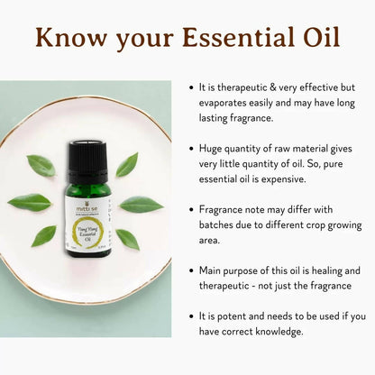 https://cdn.shopify.com/s/files/1/1857/6931/products/3U9XvkeUKe.jpg?v=1670583475
