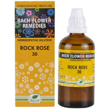 https://cdn.shopify.com/s/files/1/1857/6931/products/3Uo71lRWLC.jpg?v=1637990950