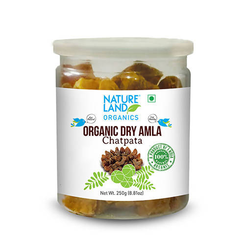 Image 1 of 250 gm / Pack of 1 for the product Nature Land Organics Dry Amla Candy Chatpata