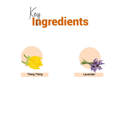 https://cdn.shopify.com/s/files/1/1857/6931/products/3XapTpmndu.jpg?v=1661319250