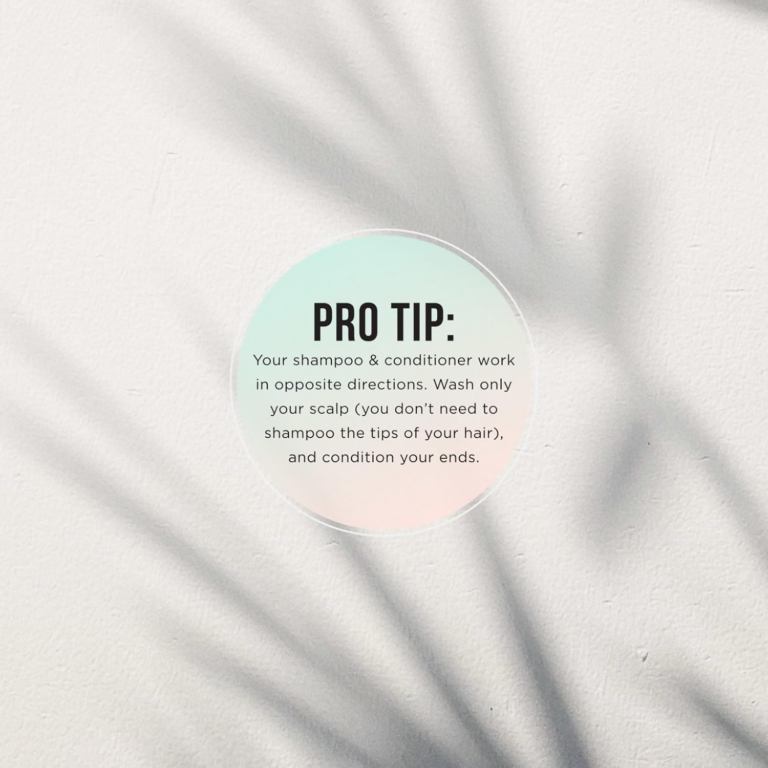 https://cdn.shopify.com/s/files/1/1857/6931/files/3XdePRSPQA.png?v=1719401140