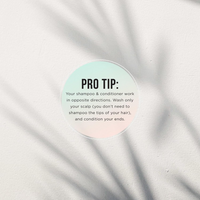 https://cdn.shopify.com/s/files/1/1857/6931/files/3XdePRSPQA.png?v=1719401140