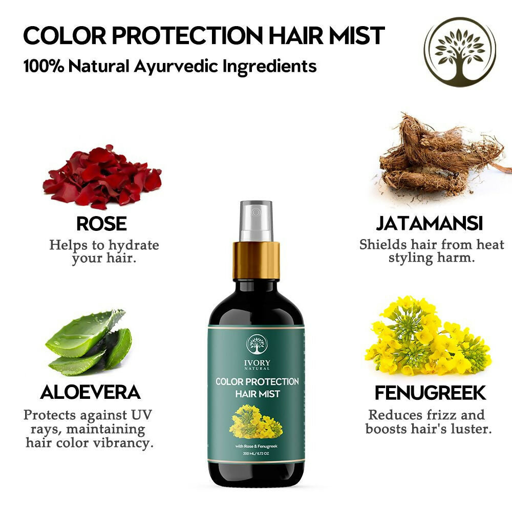 https://cdn.shopify.com/s/files/1/1857/6931/files/3YxRbTjlj5.jpg?v=1717672060