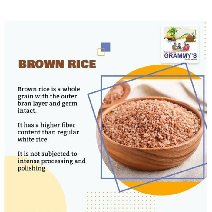https://cdn.shopify.com/s/files/1/1857/6931/products/3ZcM6Fmrpl.jpg?v=1630636285