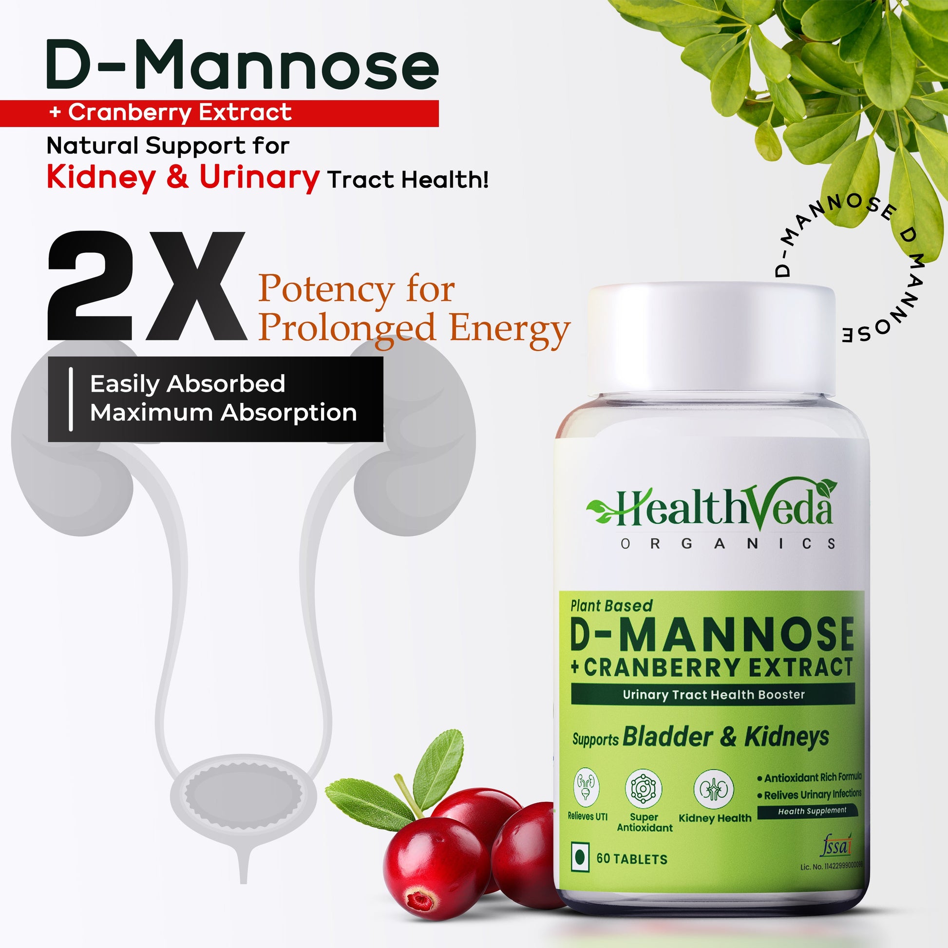 https://cdn.shopify.com/s/files/1/1857/6931/files/3_06bec715-fc49-4d9b-912e-073007b41dca.jpg?v=1747301987