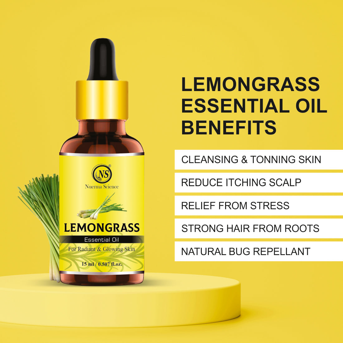 https://cdn.shopify.com/s/files/1/1857/6931/files/3_29022980-c218-4a29-816c-2c1b7ebb39ba.jpg?v=1765546702