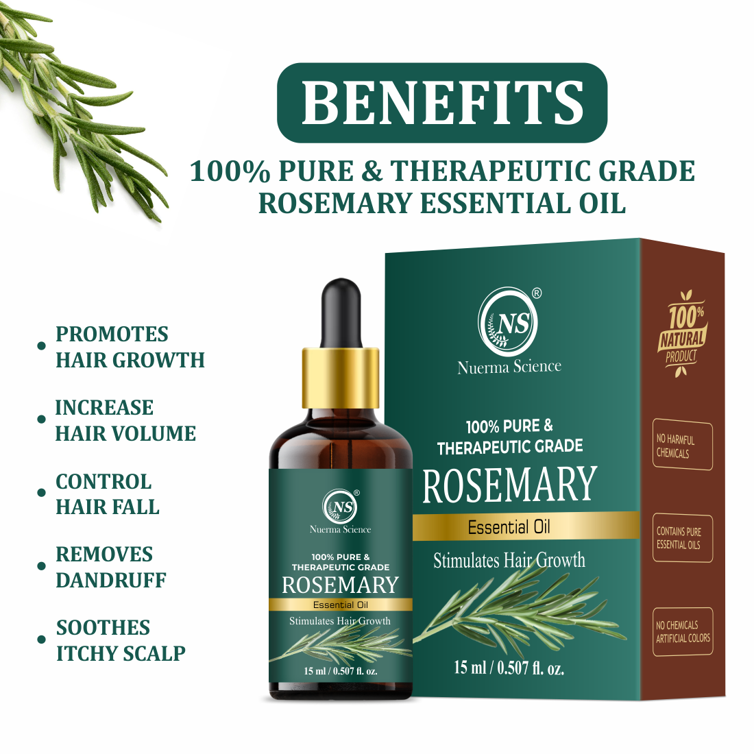 https://cdn.shopify.com/s/files/1/1857/6931/files/3_2c56c88c-f880-48de-a322-2e282c977b85.png?v=1765546684