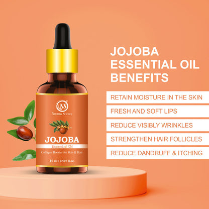 https://cdn.shopify.com/s/files/1/1857/6931/files/3_602d0773-4f9d-41c3-87c2-47eab2a902f7.jpg?v=1765546714