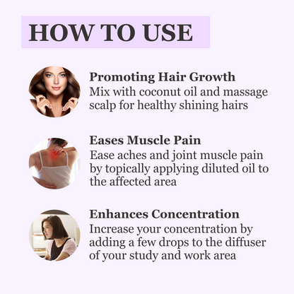 https://cdn.shopify.com/s/files/1/1857/6931/files/3_6f27da92-8155-45de-8ce6-aa1154931884.png?v=1765546419