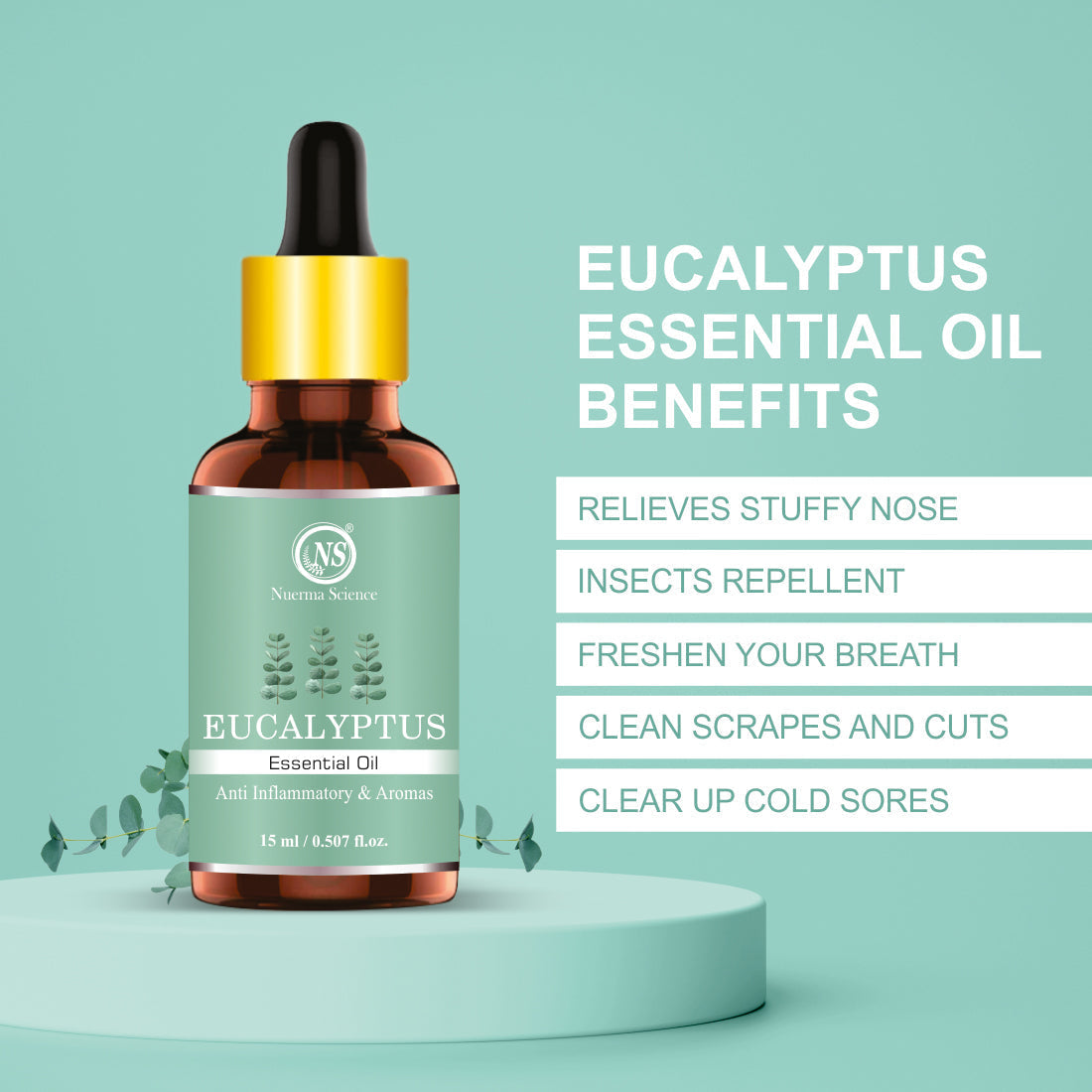 https://cdn.shopify.com/s/files/1/1857/6931/files/3_8775f2f9-7ae7-4bb4-92e6-41dcb02f0897.jpg?v=1765546589