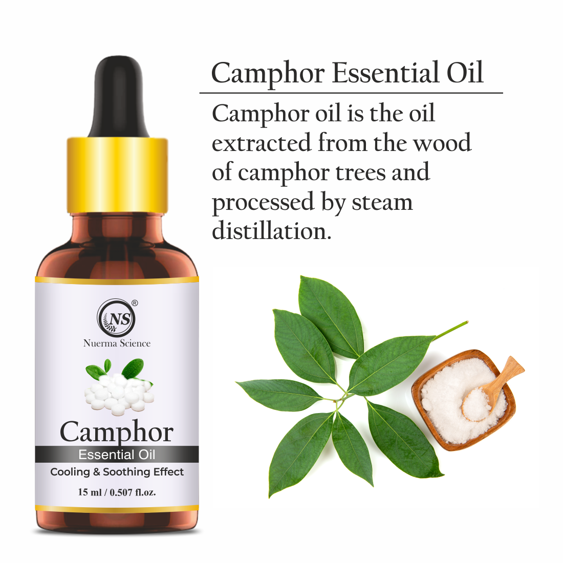 https://cdn.shopify.com/s/files/1/1857/6931/files/3_9043ade0-a4ba-43ae-8c74-2d6d81b68a21.png?v=1765546605