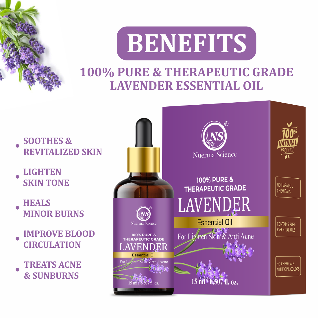 https://cdn.shopify.com/s/files/1/1857/6931/files/3_93117cf8-94a8-4386-8456-357d5f3ae7dc.png?v=1765546707