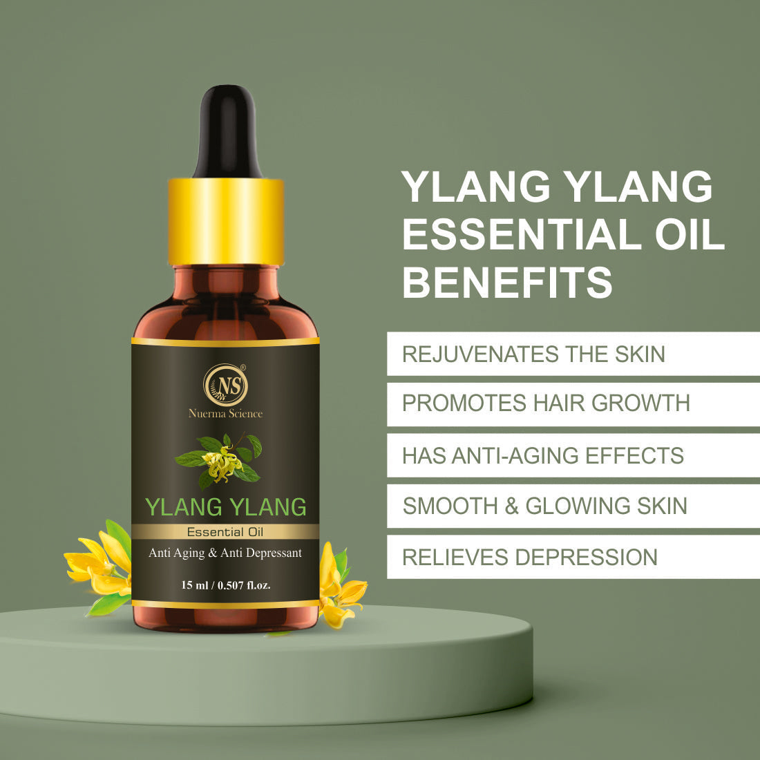 https://cdn.shopify.com/s/files/1/1857/6931/files/3_ab9b0603-8260-43e1-9ee2-f6ff7eada92b.jpg?v=1765546670