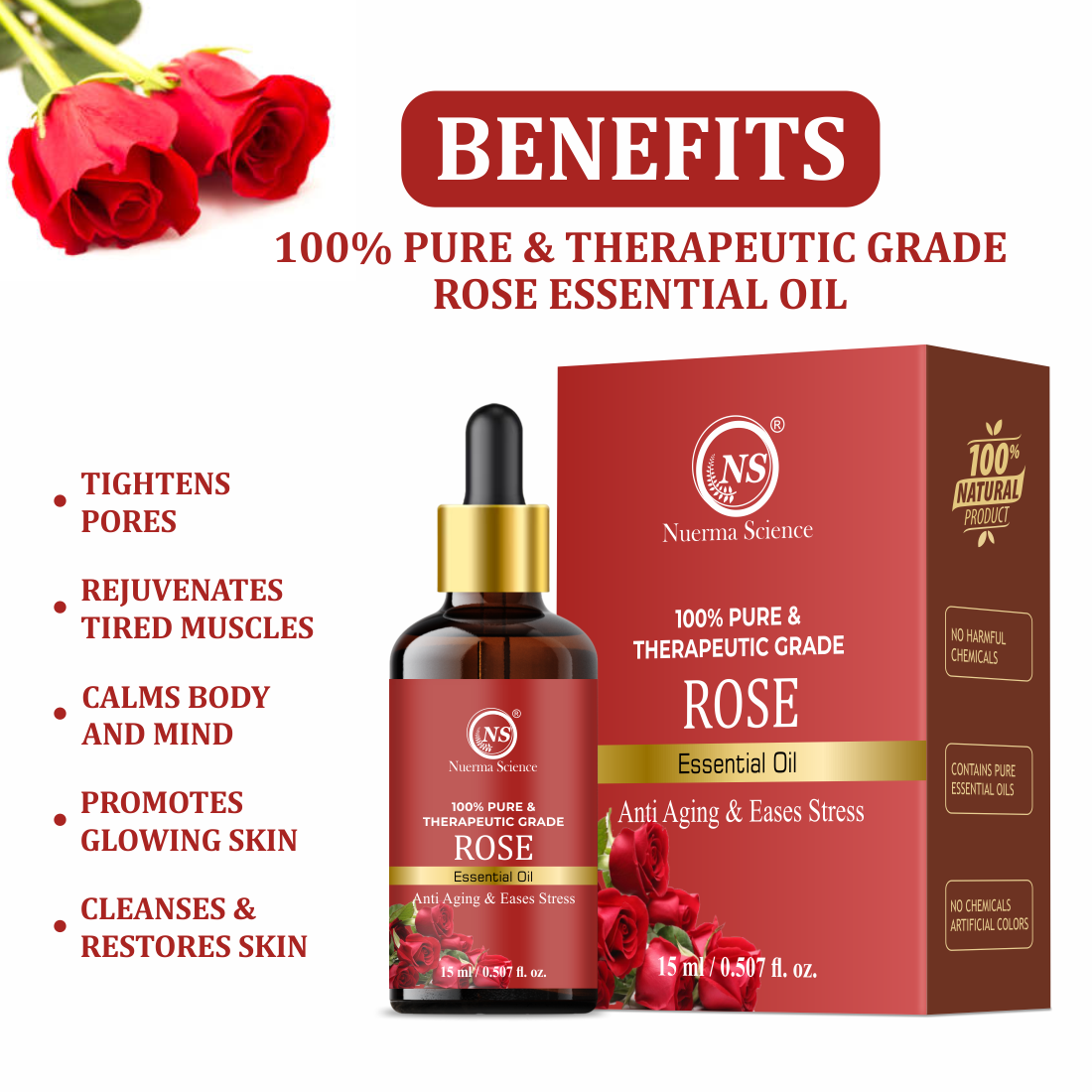 https://cdn.shopify.com/s/files/1/1857/6931/files/3_b4799c7a-1df6-4a22-a3bb-c64307080570.png?v=1765546689