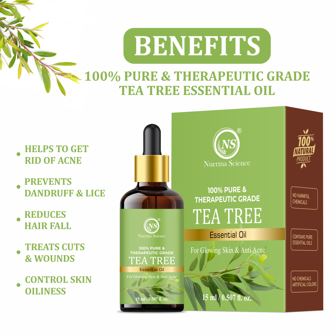 https://cdn.shopify.com/s/files/1/1857/6931/files/3_bb1ceda6-6b3d-444d-9b4a-e012ef9d7ec2.png?v=1765546674
