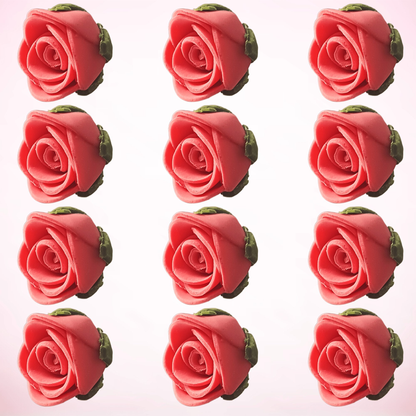 https://cdn.shopify.com/s/files/1/1857/6931/files/3_f70ca57a-8a4a-41d6-9bac-95b665ae91a4.png?v=1769707716