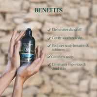https://cdn.shopify.com/s/files/1/1857/6931/files/3b8pOSAxmJ.png?v=1727078102