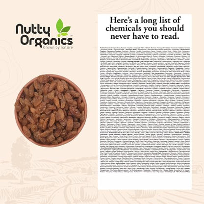 Image 3 of NUTTY ORGANICS Munaka Raisins 250 Gm