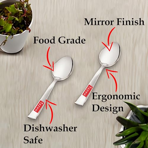 Image 3 of HAZEL Stainless Steel Small Spoons Set of 24