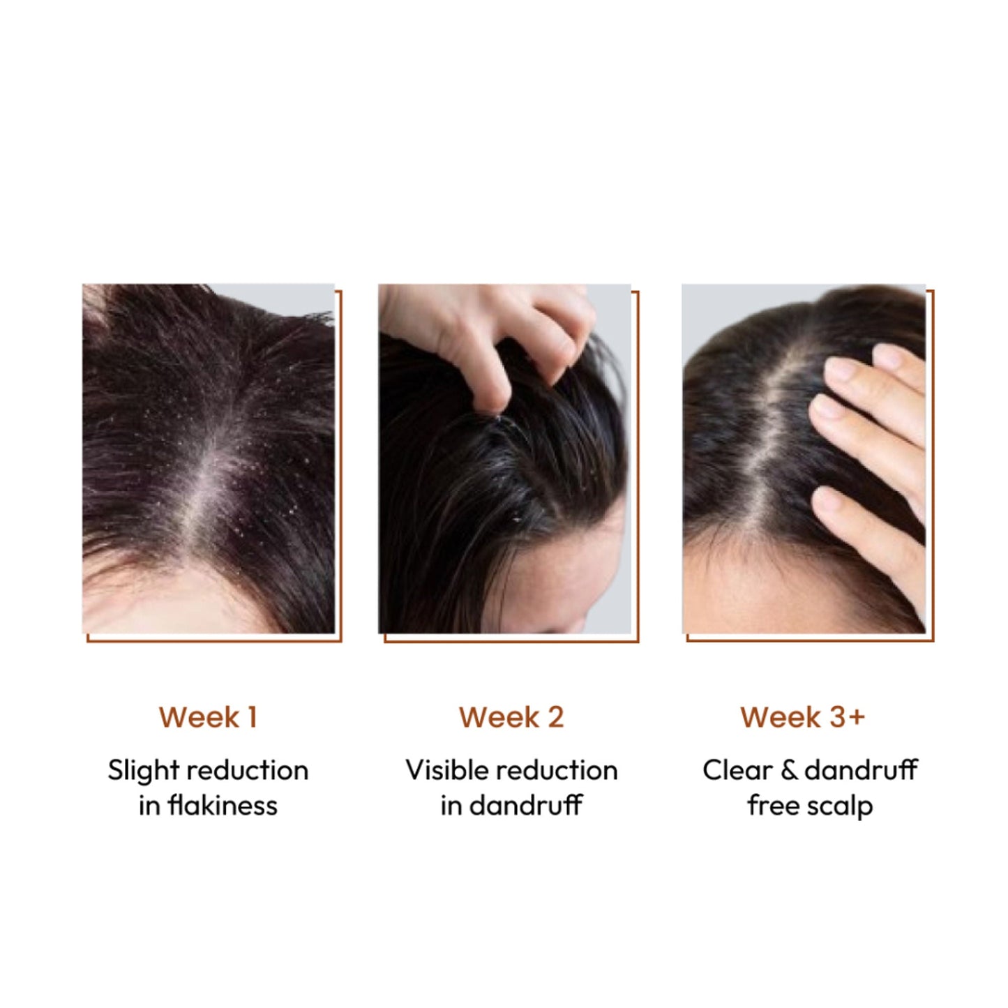 https://cdn.shopify.com/s/files/1/1857/6931/files/3f88e718800015380126_3.jpg?v=1770878377