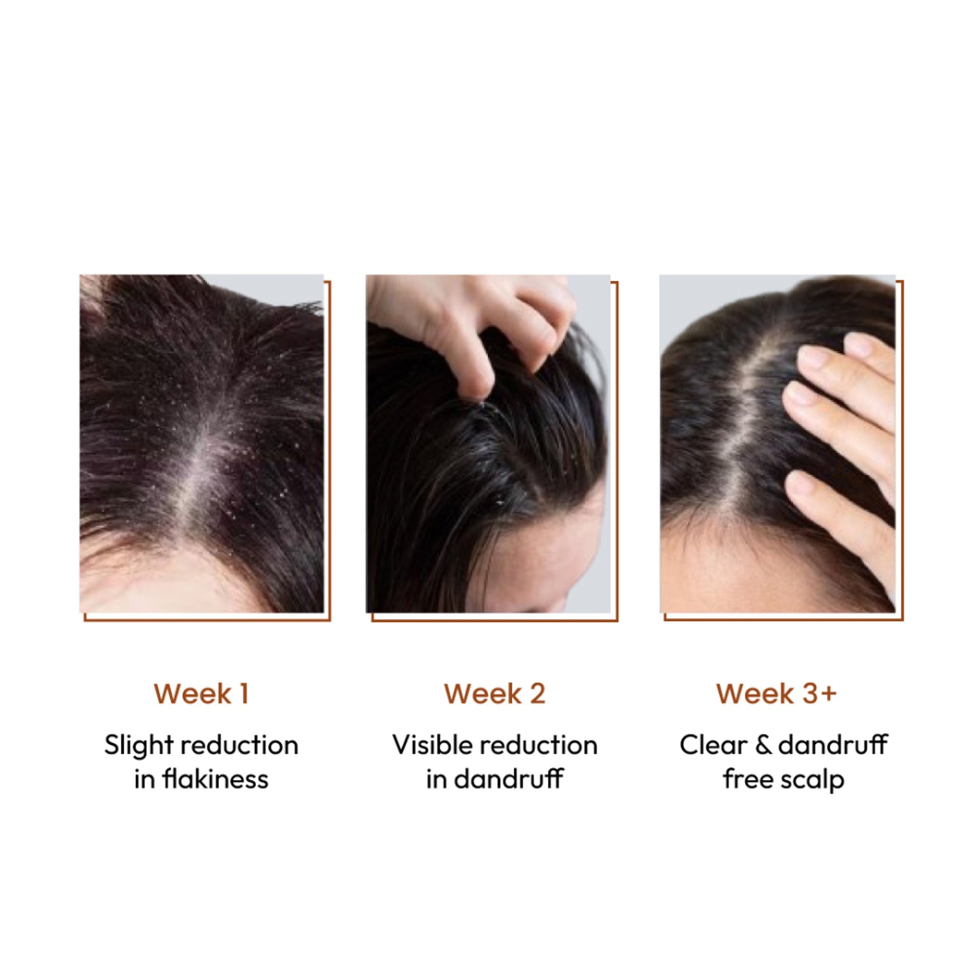 https://cdn.shopify.com/s/files/1/1857/6931/files/3f88e718800015380126_3.jpg?v=1770878377