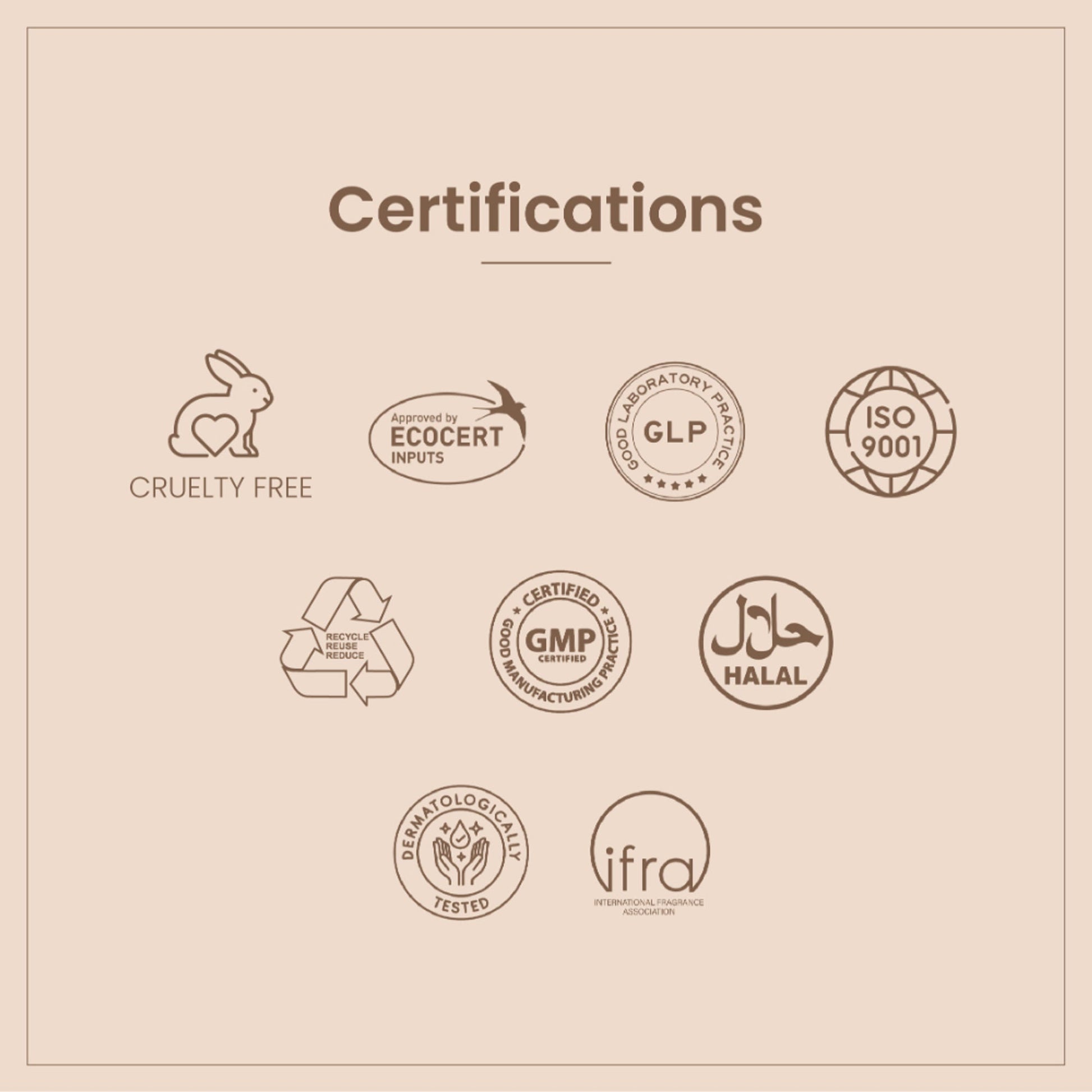 https://cdn.shopify.com/s/files/1/1857/6931/files/3f90f7fPERAD00000022_6.jpg?v=1771585998