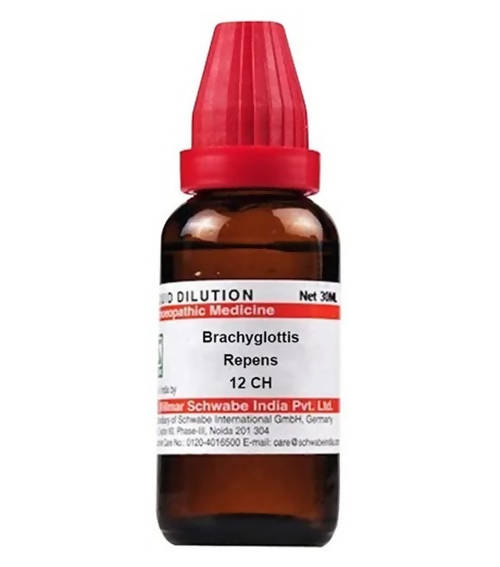 https://cdn.shopify.com/s/files/1/1857/6931/products/3gcshO9GNd.jpg?v=1640868321