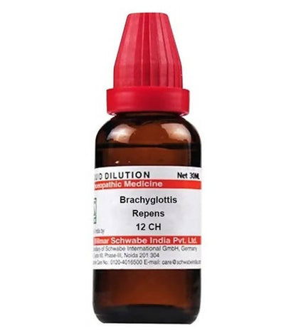 https://cdn.shopify.com/s/files/1/1857/6931/products/3gcshO9GNd.jpg?v=1640868321