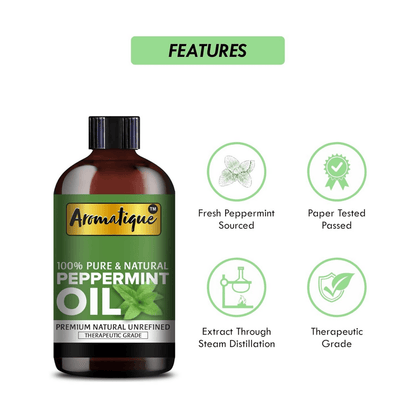 https://cdn.shopify.com/s/files/1/1857/6931/files/3hMf6RaGcT-268477.png?v=1736149330