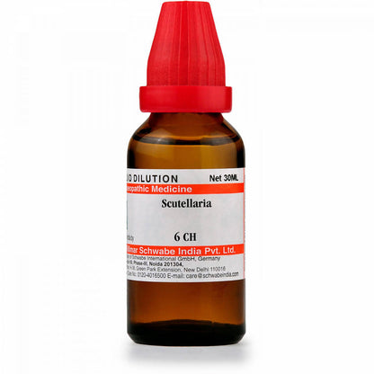 https://cdn.shopify.com/s/files/1/1857/6931/products/3jfEjTOt2K.jpg?v=1640865889