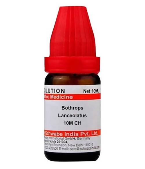 https://cdn.shopify.com/s/files/1/1857/6931/products/3oGaSCaMeu.jpg?v=1640865747